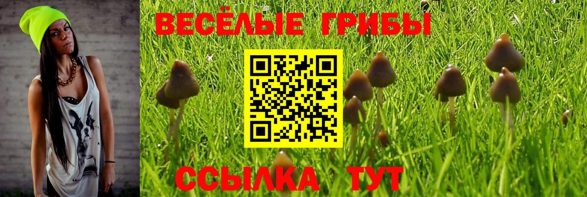 Псилоцибиновые грибы MAGIC MUSHROOMS Ивантеевка